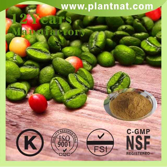 Green Coffee Bean Extract Chlorogenic Acid 50_